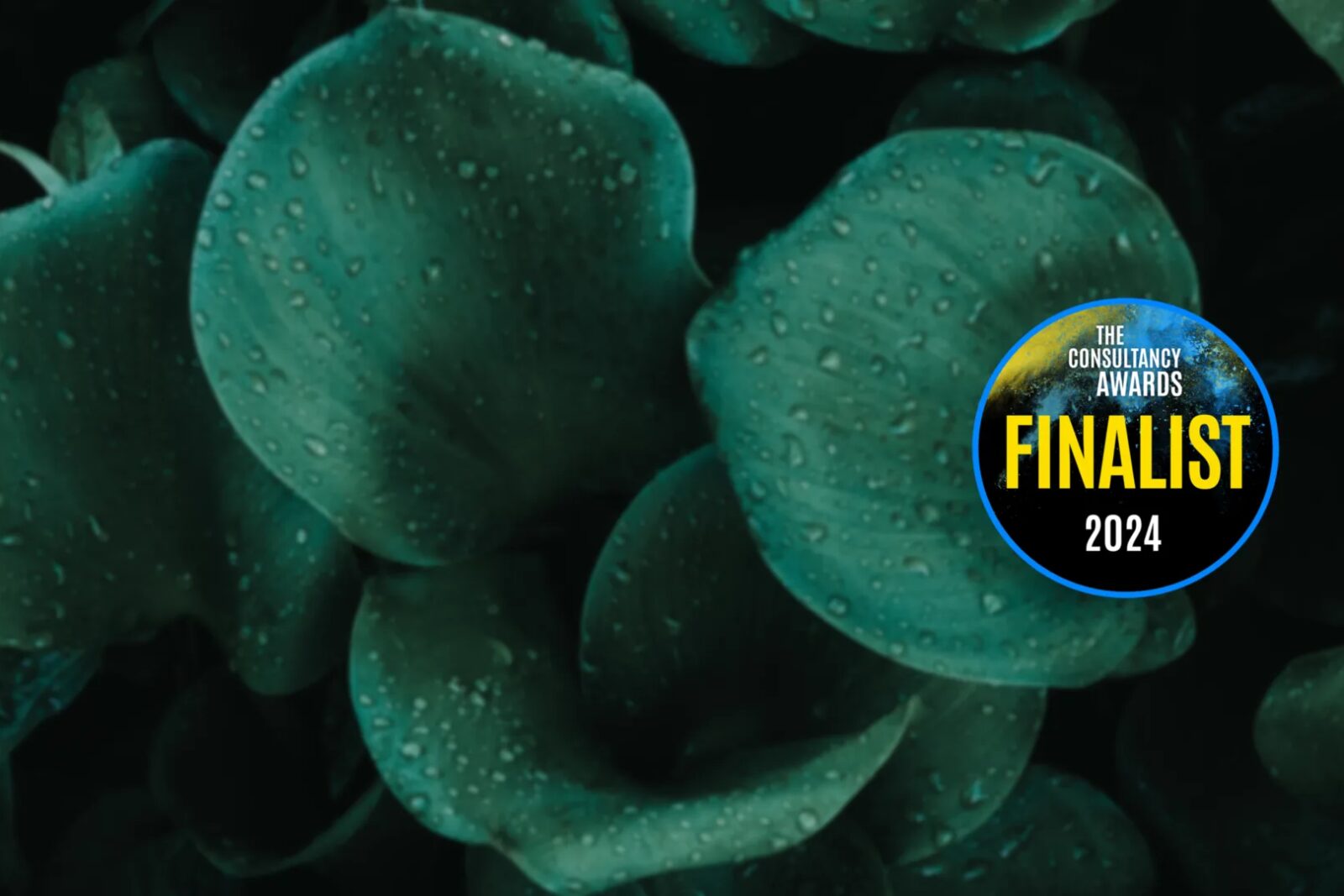 The Consultancy Awards nominates SCOPE8 for the Environment and Social Impact category